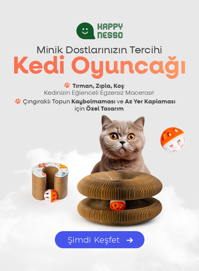 Happy Nesso Minik Dostlarınızın Tercihi Kedi Oyuncağı